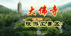 去操人妖逼免费祝频中国浙江-新昌大佛寺旅游风景区